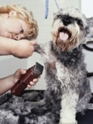 Boarding and Grooming