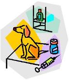 Vet Surgeries and Vaccinations