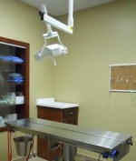 Vet Surgeries